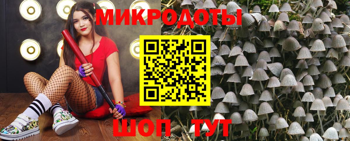 Псилоцибиновые грибы Magic Shrooms  Вход с VPN  Ишим 
