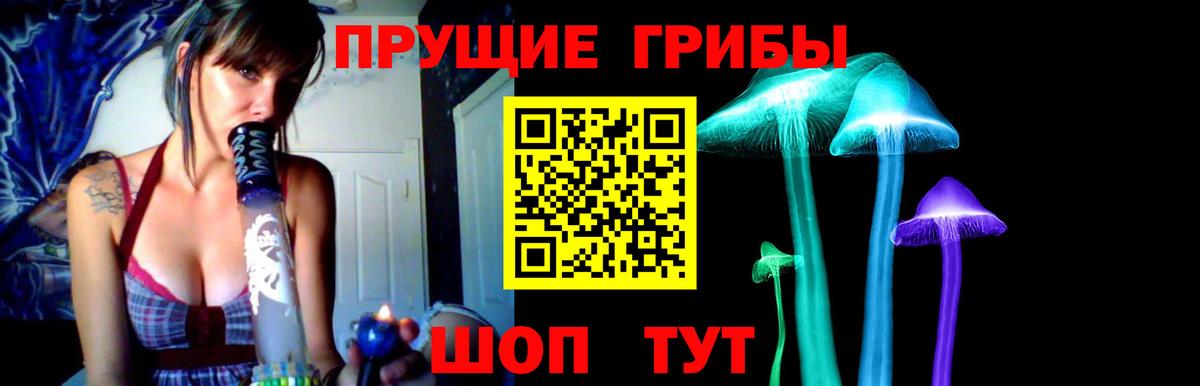 Псилоцибиновые грибы мицелий Ишим